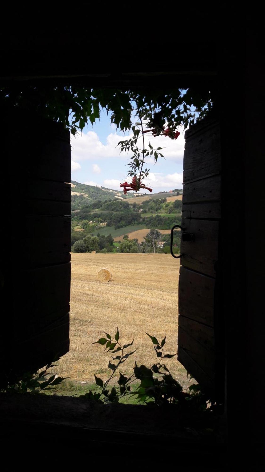 Le Bumbarelle Bed & Breakfast Tavoleto Luaran gambar