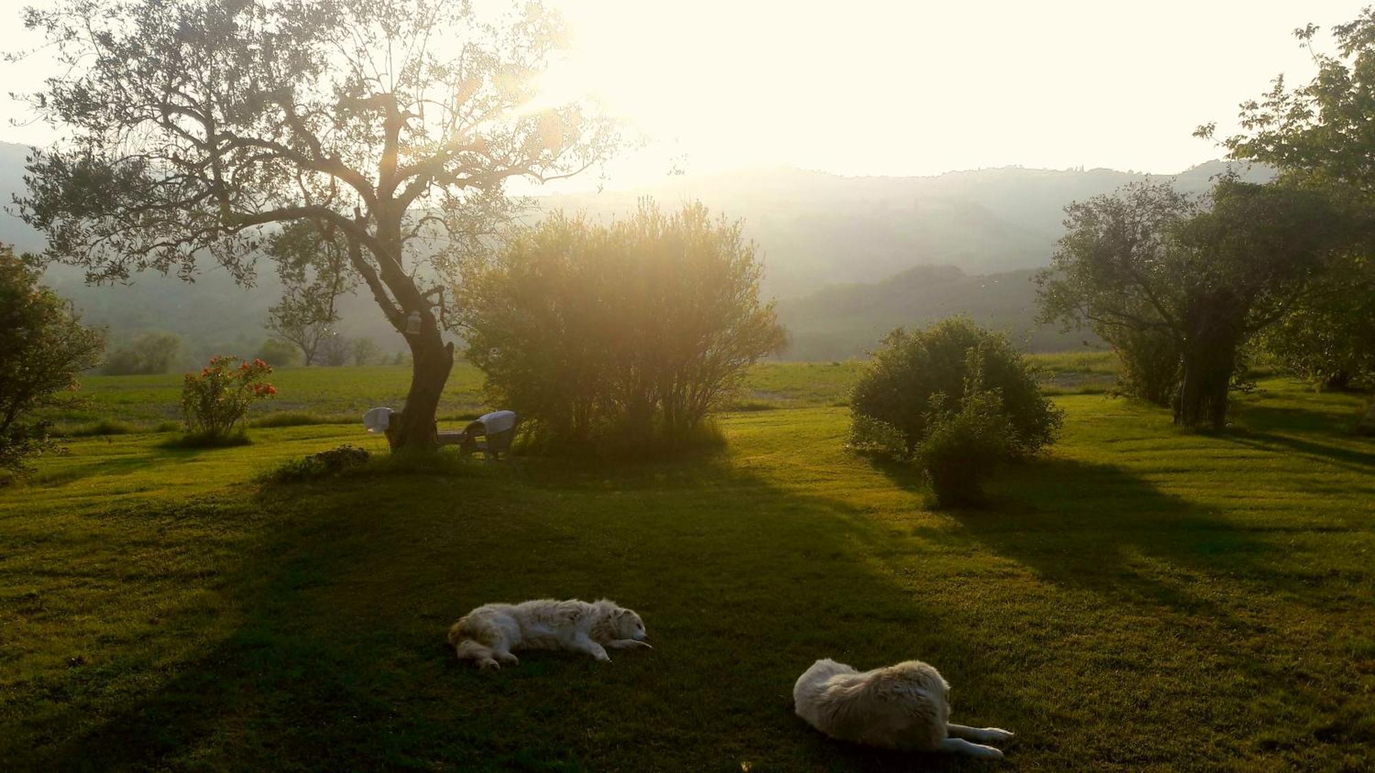 Le Bumbarelle Bed & Breakfast Tavoleto Luaran gambar
