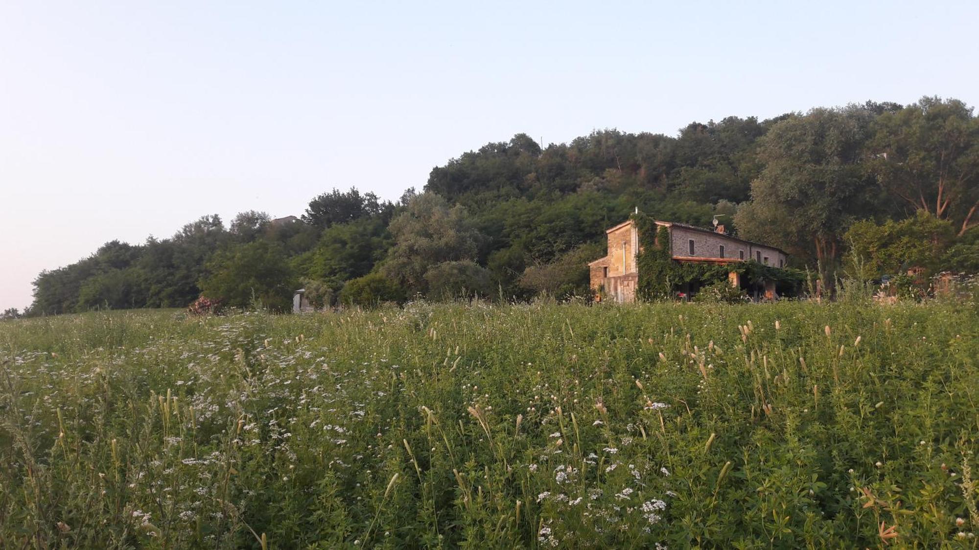 Le Bumbarelle Bed & Breakfast Tavoleto Luaran gambar