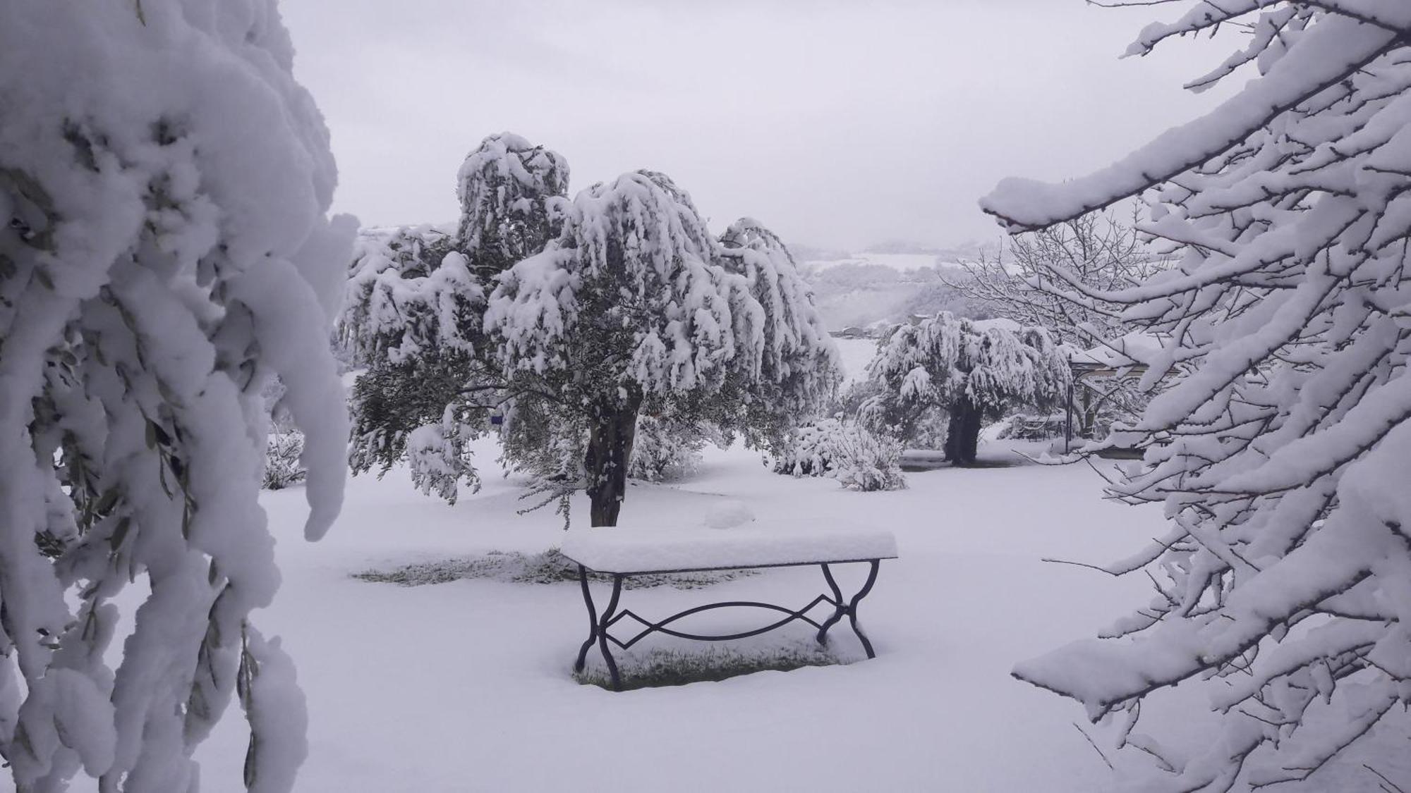 Le Bumbarelle Bed & Breakfast Tavoleto Luaran gambar