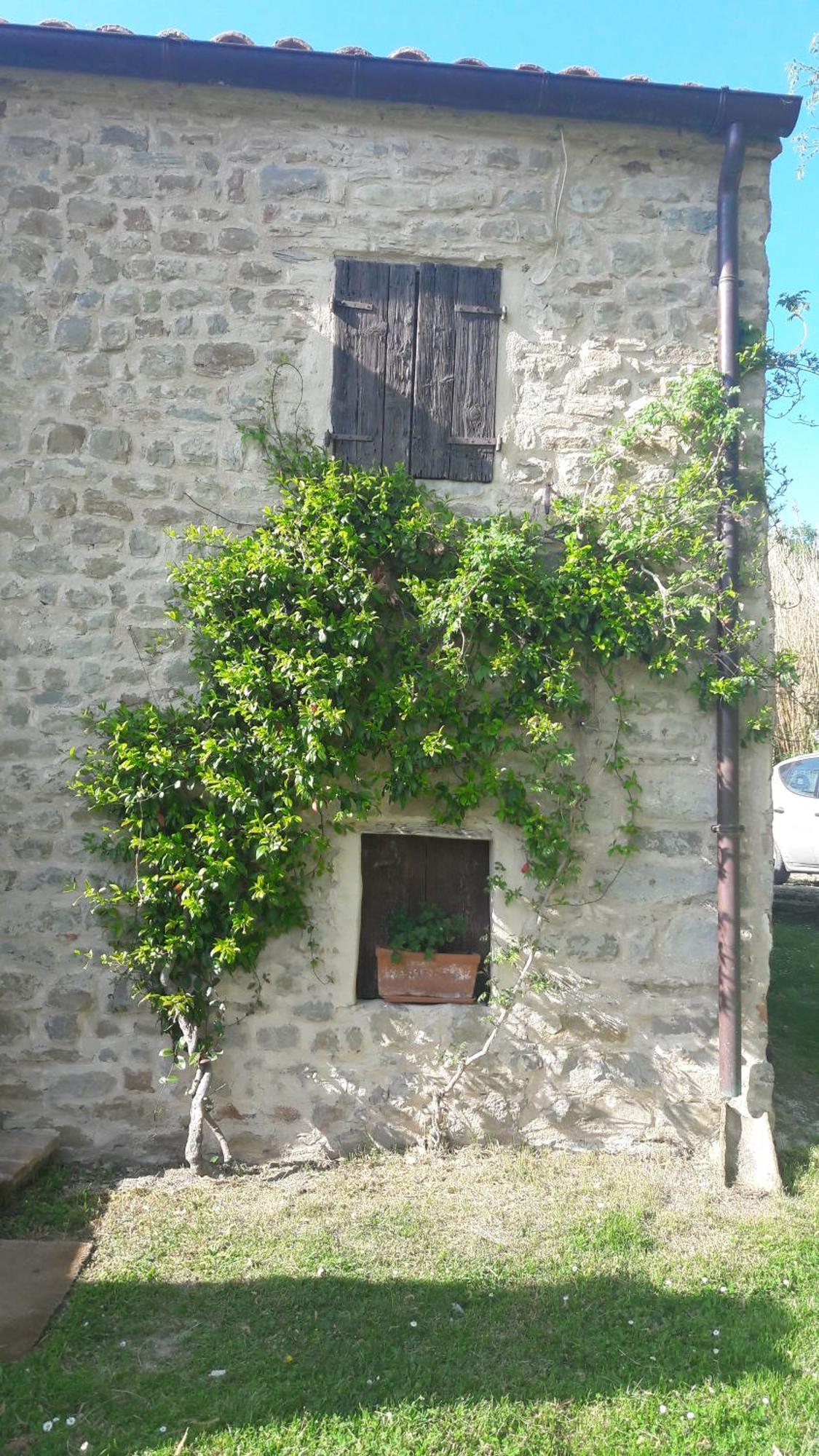 Le Bumbarelle Bed & Breakfast Tavoleto Luaran gambar