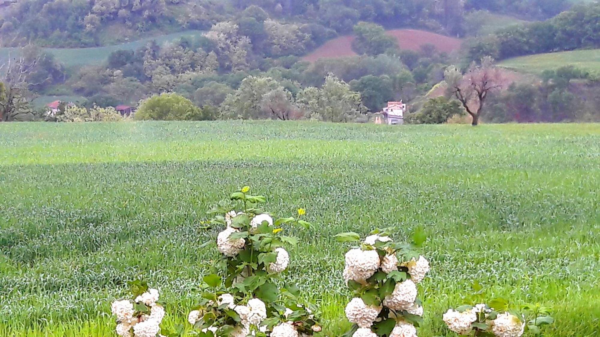 Le Bumbarelle Bed & Breakfast Tavoleto Luaran gambar