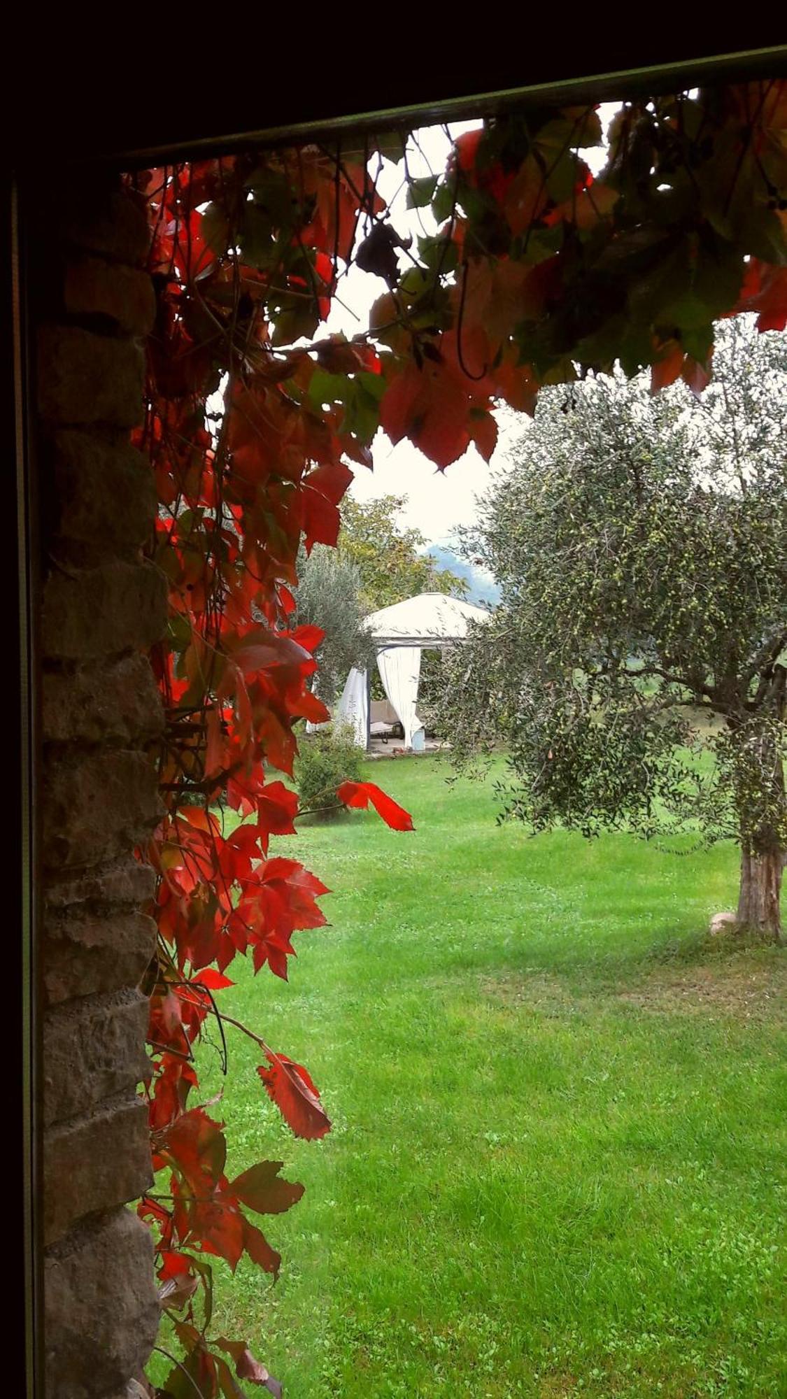 Le Bumbarelle Bed & Breakfast Tavoleto Luaran gambar