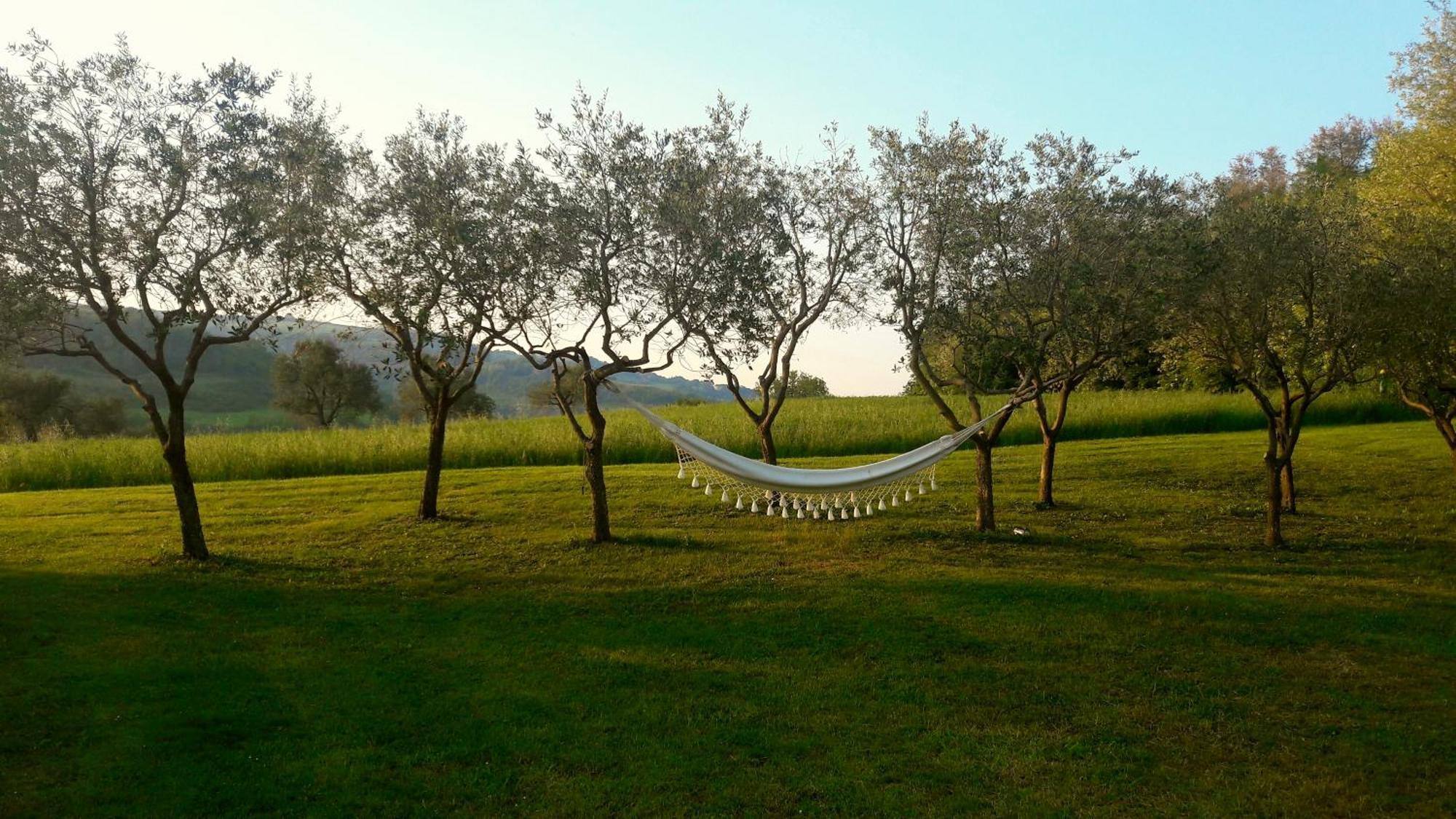 Le Bumbarelle Bed & Breakfast Tavoleto Luaran gambar