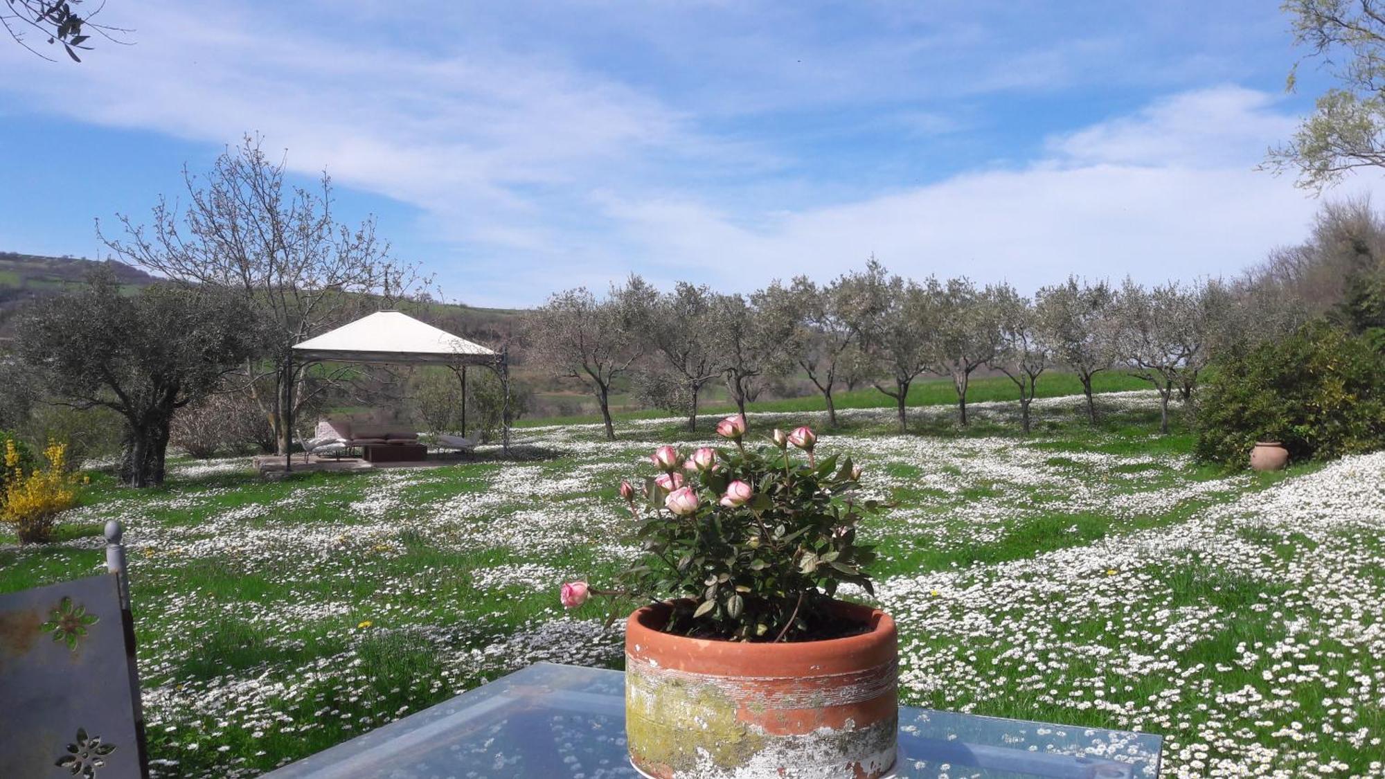 Le Bumbarelle Bed & Breakfast Tavoleto Luaran gambar