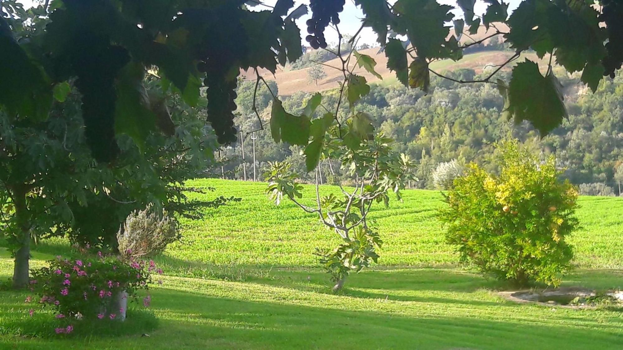 Le Bumbarelle Bed & Breakfast Tavoleto Luaran gambar