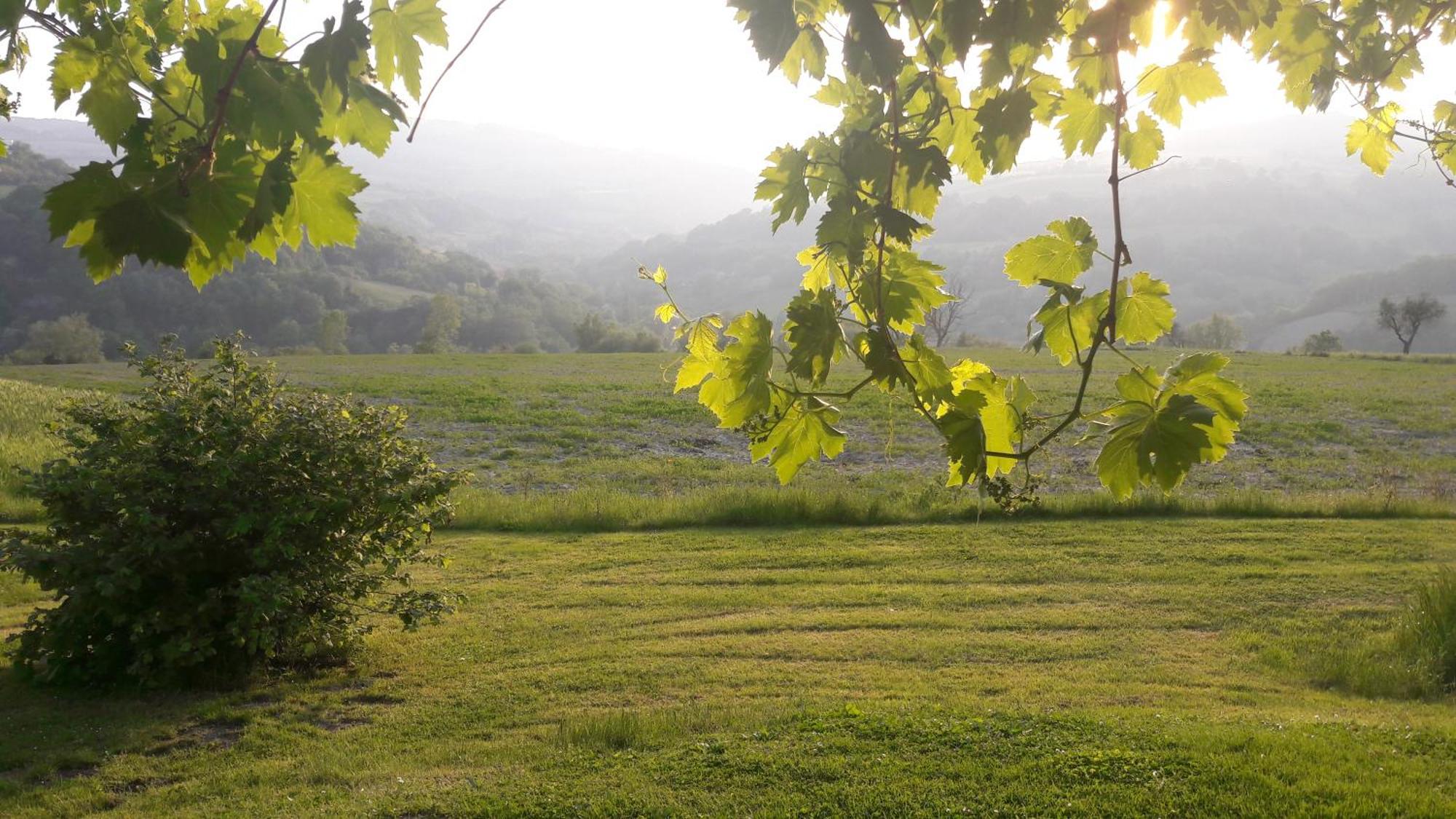 Le Bumbarelle Bed & Breakfast Tavoleto Luaran gambar