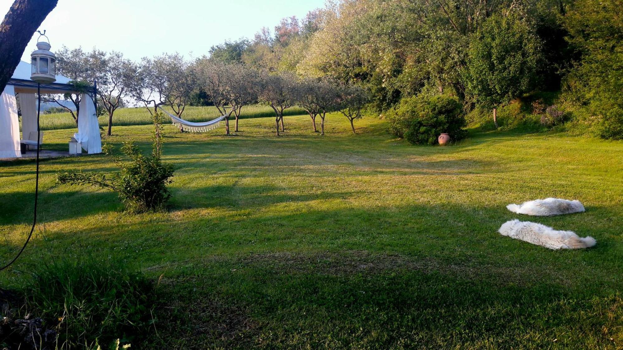 Le Bumbarelle Bed & Breakfast Tavoleto Luaran gambar