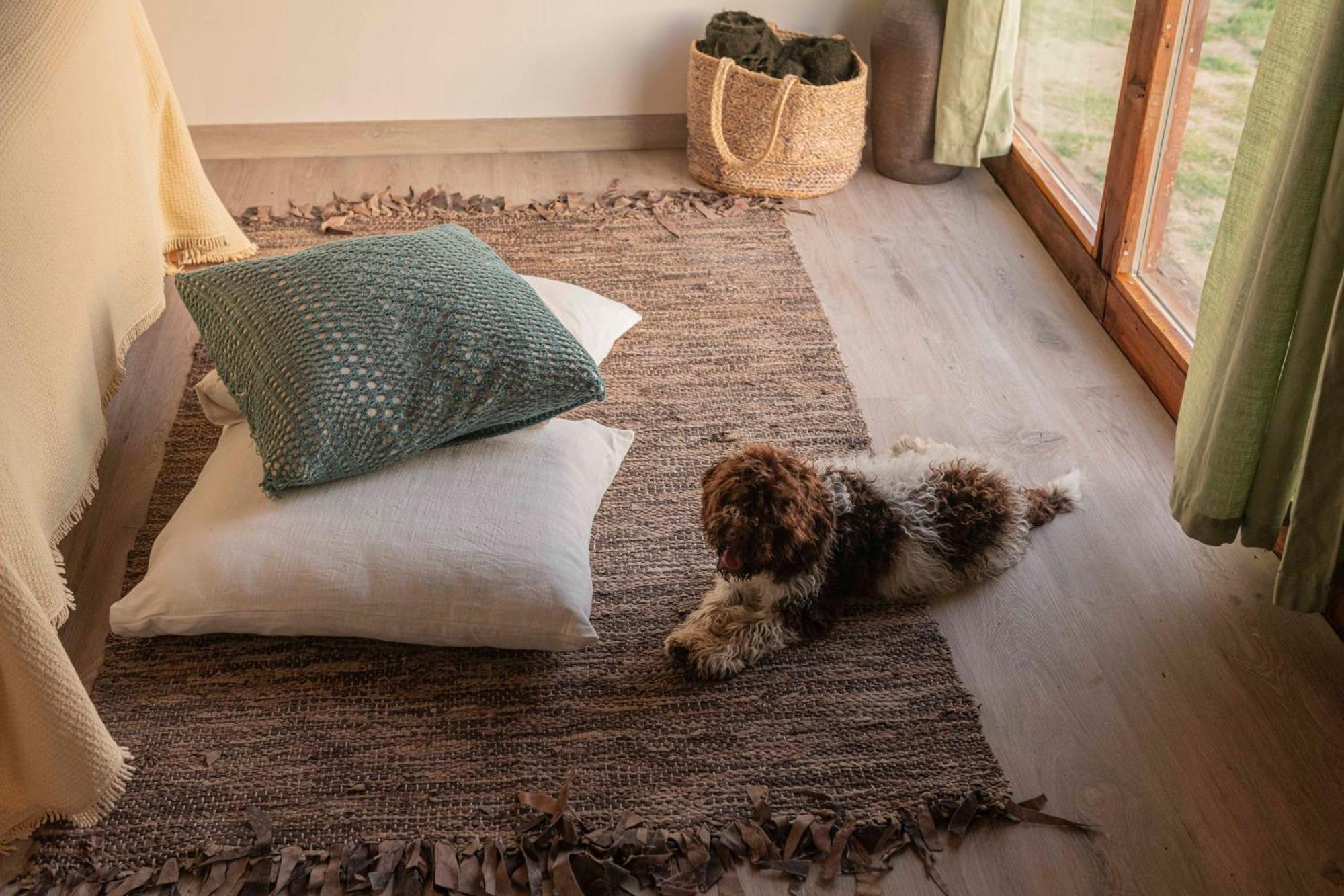 Le Bumbarelle Bed & Breakfast Tavoleto Luaran gambar