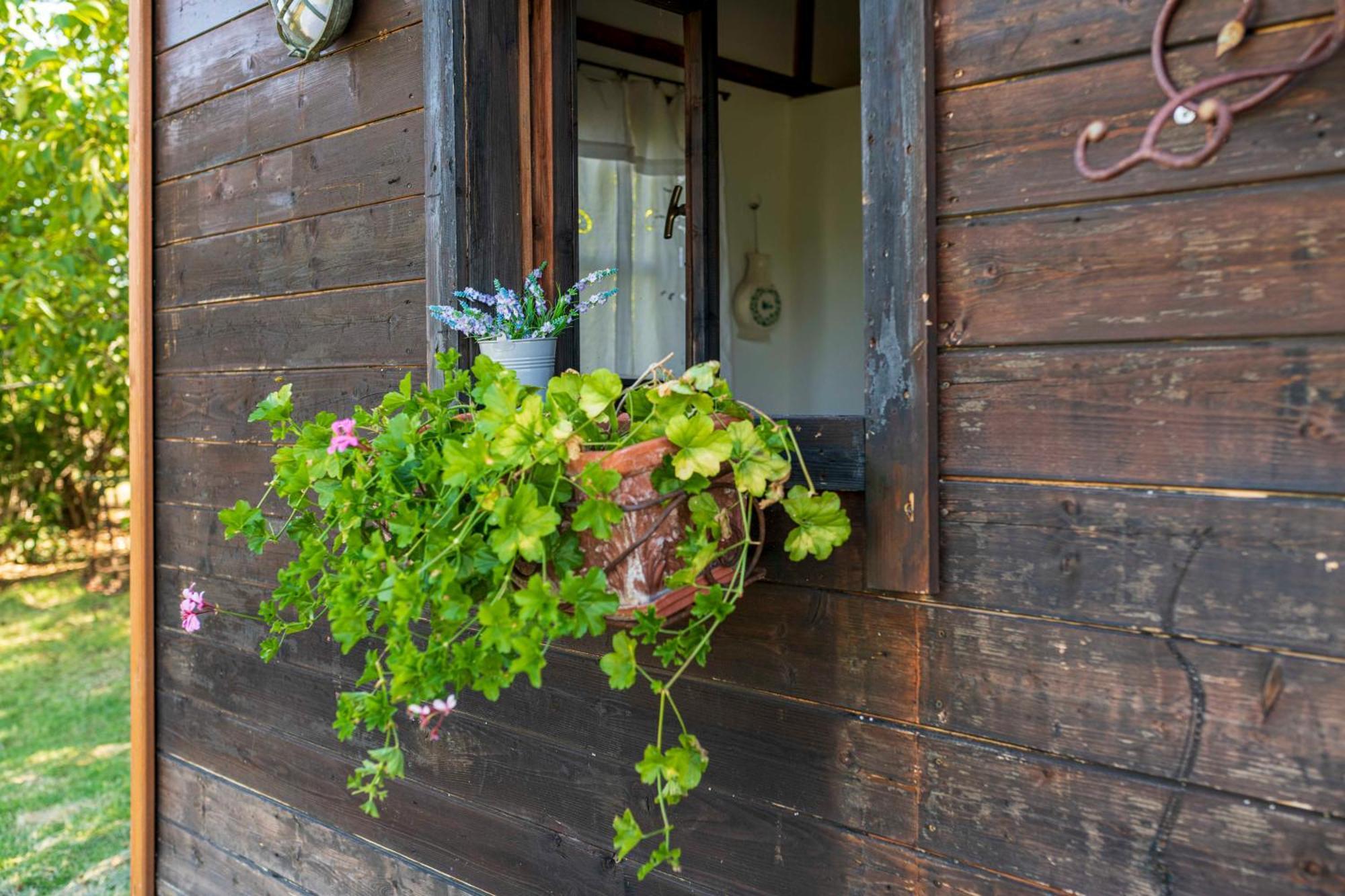 Le Bumbarelle Bed & Breakfast Tavoleto Luaran gambar