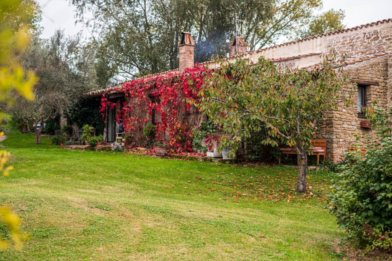 Le Bumbarelle Bed & Breakfast Tavoleto Luaran gambar